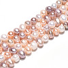 Natural Cultured Freshwater Pearl Beads Strands PEAR-N013-05C-03-5