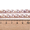 Natural Cultured Freshwater Pearl Beads Strands PEAR-N012-AA-03-5