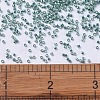 MIYUKI Delica Beads X-SEED-J020-DB0416-4