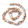Erose Natural Shell Beads Strands X-PBB071Y-2