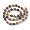 Natural Alashan Agate Beads Strands G-F809-A24-01-3