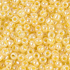8/0 Glass Seed Beads X1-SEED-A011-3mm-142-2