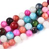 Freshwater Shell Beads Strands SHEL-T013-003-1