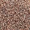 MIYUKI Delica Beads SEED-MY11-DB2504-2