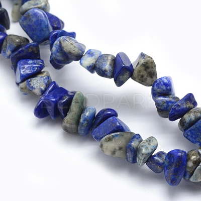 Natural Lapis Lazuli Beads Strands G-P332-12-1