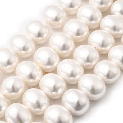 Shell Pearl Beads Strands BSHE-F013-01R-1