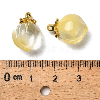 Glass Pendants GLAA-P072-05G-06-1