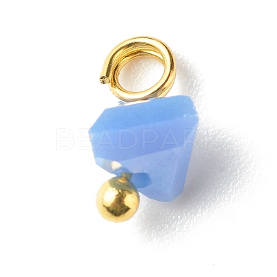 Electroplate Glass Charms PALLOY-JF00821-05-1
