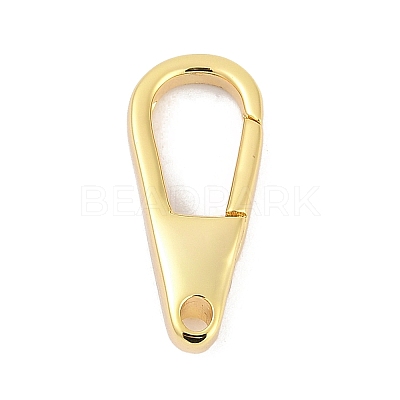 Brass Spring Gate Clasps KK-M311-24G-01-1