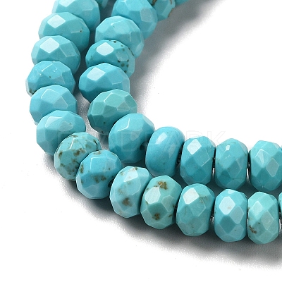 Natural Howlite Beads Strands G-C025-10A-1