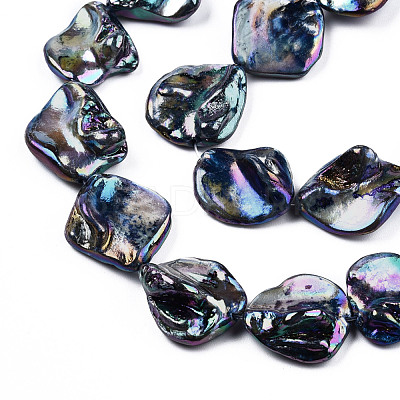 Freshwater Shell Beads Strands SHEL-N026-204-1
