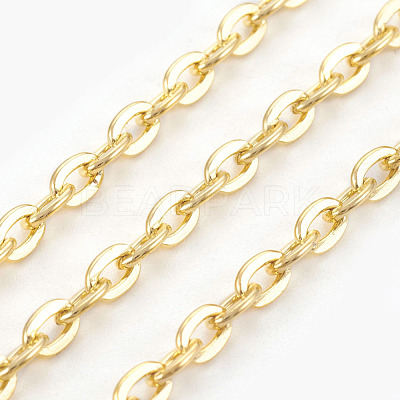 Iron Cable Chains CH-0.9PYSZ-G-1