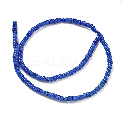 Dyed Natural Freshwater Shell Beads Strands BSHE-G039-07J-1