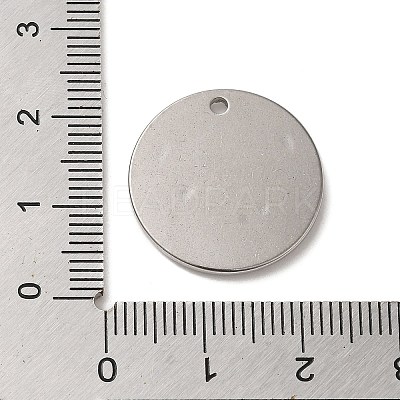 Non-Tarnish 304 Stainless Steel Pendants STAS-R223-16-1