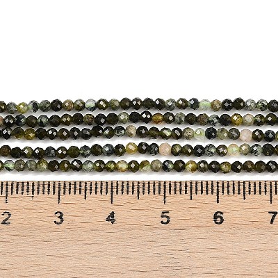 Natural Prehnite Beads Strands G-L628-B11-2mm-1