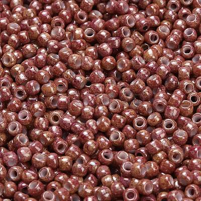 TOHO 6/0 Round Beads X-SEED-TR06-1201-1