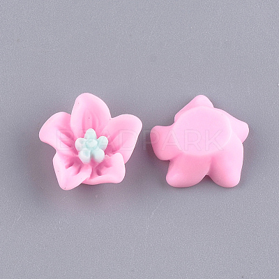 Resin Cabochons LS-CRES-T010-29E-1
