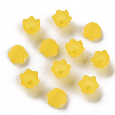 Transparent Acrylic Beads Caps PL543-2-1