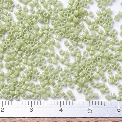 MIYUKI Delica Beads SEED-J020-DB2123-1