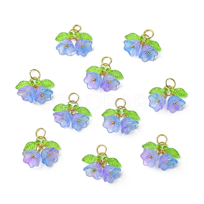 Glass Pendants PALLOY-YW00054-03-1