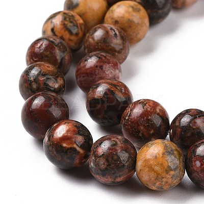 Natural Red Leopard Skin Jasper Beads Strands GSR066-1