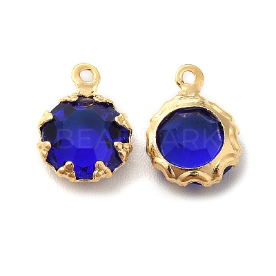 Eco-Friendly Glass Charms KK-H442-63G-1
