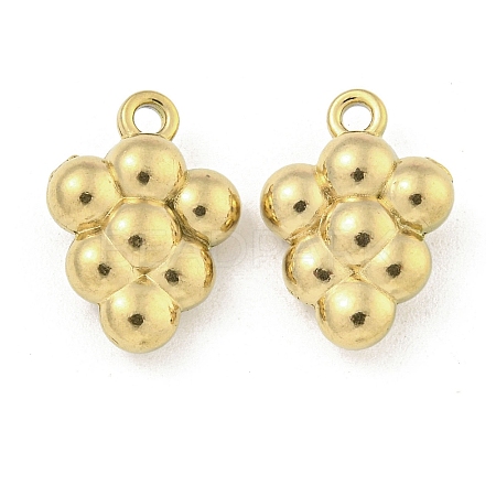 Ion Plating(IP) 304 Stainless Steel Charms STAS-I307-554G-1