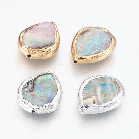 Natural Abalone Shell/Paua Shell Beads G-O168-10-1