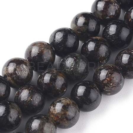 Natural Biotite Beads Strands G-L528-06C-1