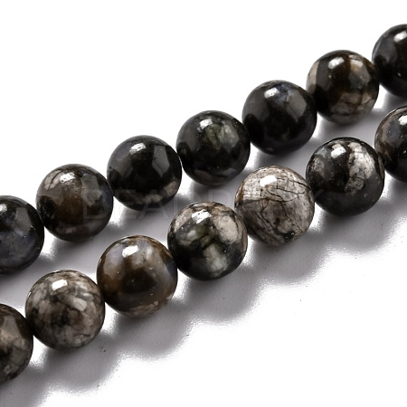 Natural Glaucophane Beads Strands G-L574-01C-1