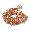 Natural Quartz Crystal Points Beads Strands G-K181-B26-7