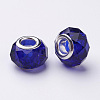 Handmade Glass European Beads X-GPDL25Y-25-2