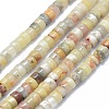 Natural Crazy Agate Beads Strands G-F631-A22-1