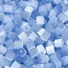 Glass Seed Beads SEED-H002-D-A813-3