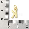 Rack Plating Brass Charms KK-P245-06G-K-3