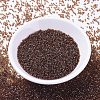 MIYUKI Delica Beads SEED-X0054-DB1891-2