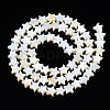 Natural Freshwater Shell Beads Strands LS-SHEL-S278-01A-01-2