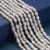 Grade A Natural Cultured Freshwater Pearl Beads Strands A23WS011-3