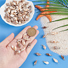 100Pcs 10 Styles Natural Shell Pendants PALLOY-AB00159-3