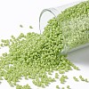 TOHO Round Seed Beads SEED-XTR11-0044-1