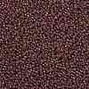 MIYUKI Round Rocailles Beads SEED-JP0009-RR0301-3