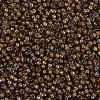 MIYUKI Round Rocailles Beads X-SEED-G009-RR3542-3