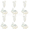 6Pcs 2 Styles Natural White Shell Beads BSHE-CJ0001-05-3