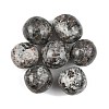 Natural Syenite Beads G-G348-01B-46-1