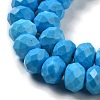 Dyed Natural Howlite Beads Strands G-G023-A01-01B-4