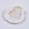 Beautiful Beach Sea Shells DIY-WH0044-01-3