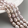 Natural Cultured Freshwater Pearl Beads Strands PEAR-P062-10E-1