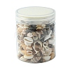 12 Styles Natural Mixed Shell Beads SSHEL-YW0001-05-6