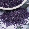 MIYUKI Delica Beads SEED-MY11-DB1758-4