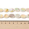 Natural Freshwater Shell Beads Strands BSHE-H018-06-4
